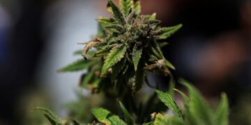 Acciones que realizan los mayores movimientos antes de la comercialización: IRBT, LVS, TLRY