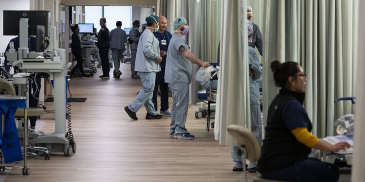 Los empleos en el sector de la salud son el “motor” del mercado laboral, dice un economista