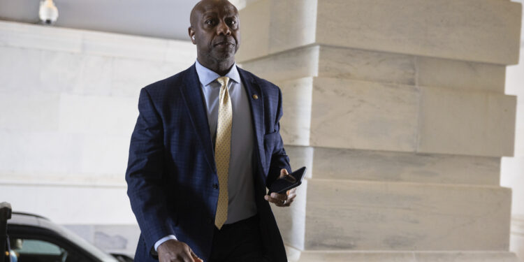 El Senado se enfrenta a una crisis criptográfica en el año electoral