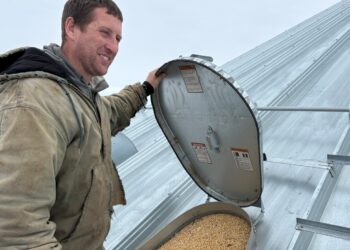 Los agricultores dan la bienvenida al paquete de ayuda de 12 mil millones de dólares de Trump y dicen que se necesita ayuda adicional: NPR