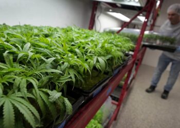 Una guía sobre lo que está cambiando y cuándo: NPR