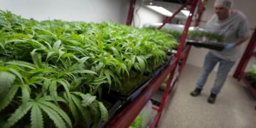 Una guía sobre lo que está cambiando y cuándo: NPR