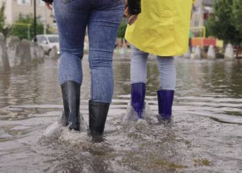 Inundaciones del estado de Washington: impactos, recuperación y recursos para los residentes