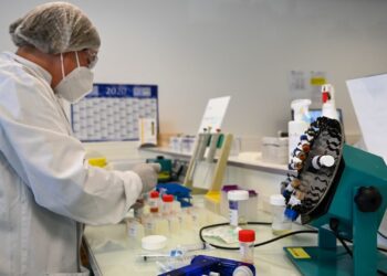 Acciones que realizan los mayores movimientos antes de la comercialización: PNC, IBRX, CPNG