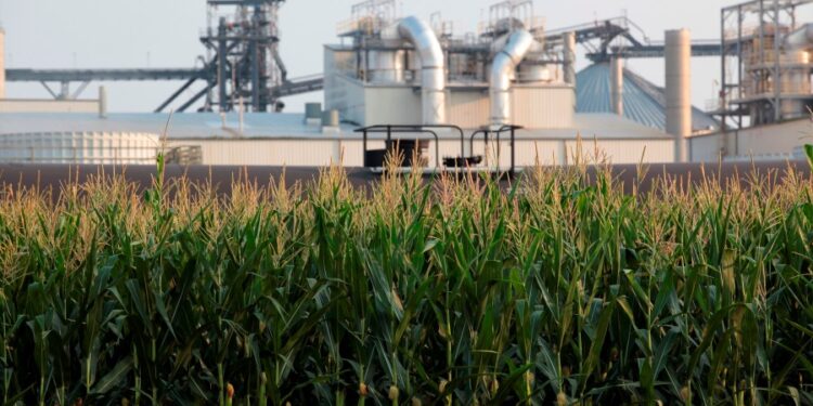 La Cámara rechaza el intento de agregar la expansión del etanol al proyecto de ley de gastos