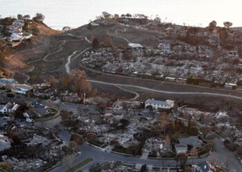 Un año después de los incendios forestales de Los Ángeles, los inversores compran lotes quemados