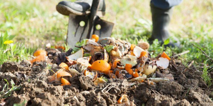 Las 15 mejores ciudades de Estados Unidos para hacer compost y limitar los residuos