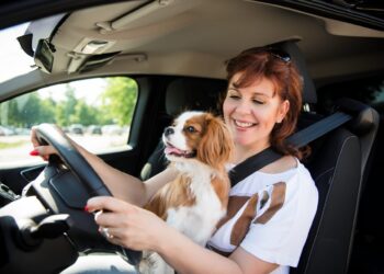 Siete formas de garantizar que su automóvil dure 250 000 millas, si no más, según los expertos