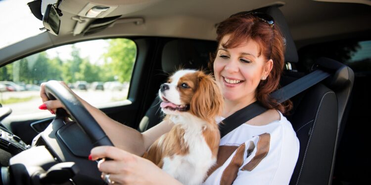 Siete formas de garantizar que su automóvil dure 250 000 millas, si no más, según los expertos